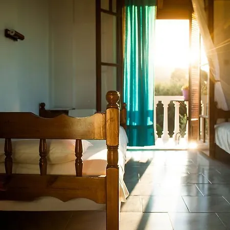 Areti Orfeas Vasilikí