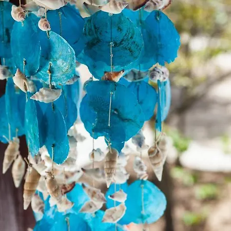 Areti Orfeas Vasilikí