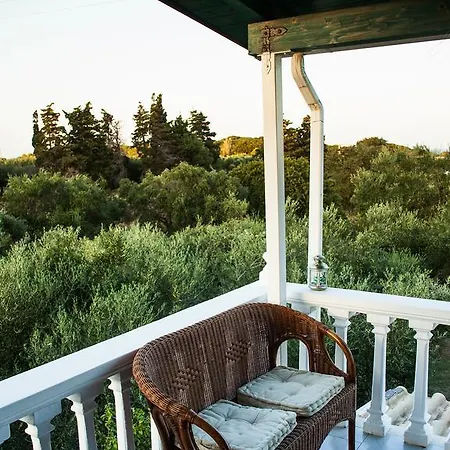 Areti Orfeas Daire Vasilikí