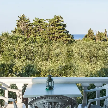 Daire Areti Orfeas Vasilikí