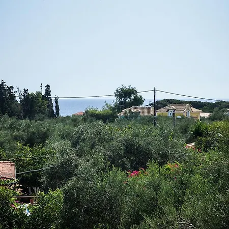 Areti Orfeas Studios Apartment Vasilikos (Zakynthos)