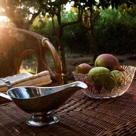 Areti Orfeas Apartment Vasilikí