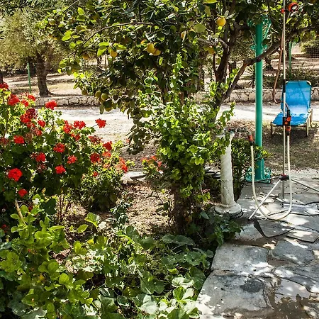Areti Orfeas Studios Vasilikos (Zakynthos)