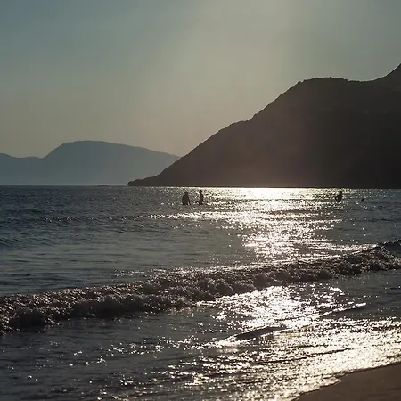 Areti Orfeas * Vasilikí