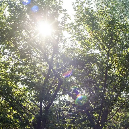 Apartment Areti Orfeas