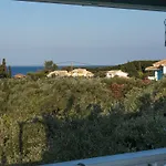 Areti Orfeas Vasilikí