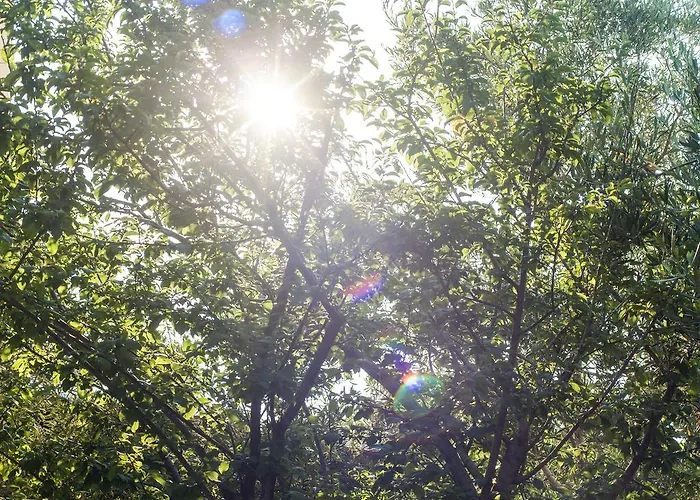 Appartement Areti Orfeas